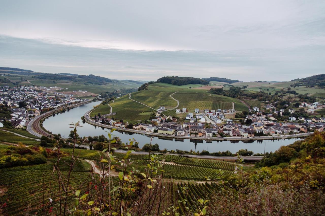 Weingut Und Gaestehaus Zilliken Nittel Dış mekan fotoğraf